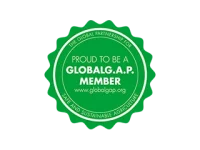 certificado-globalg